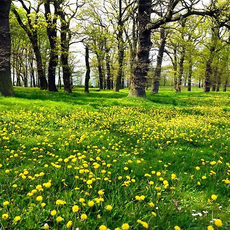 Haus Kulschewski Insel Poel Exteriör bild