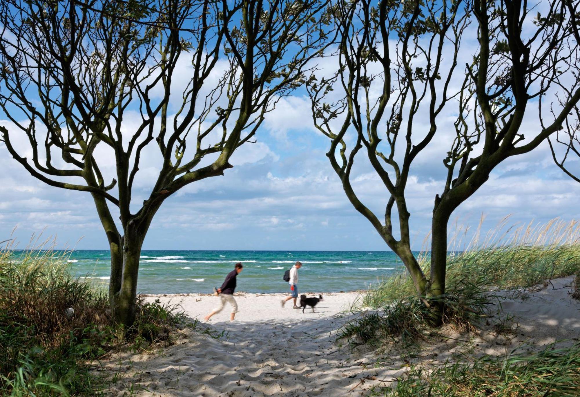 Haus Kulschewski Insel Poel Exteriör bild