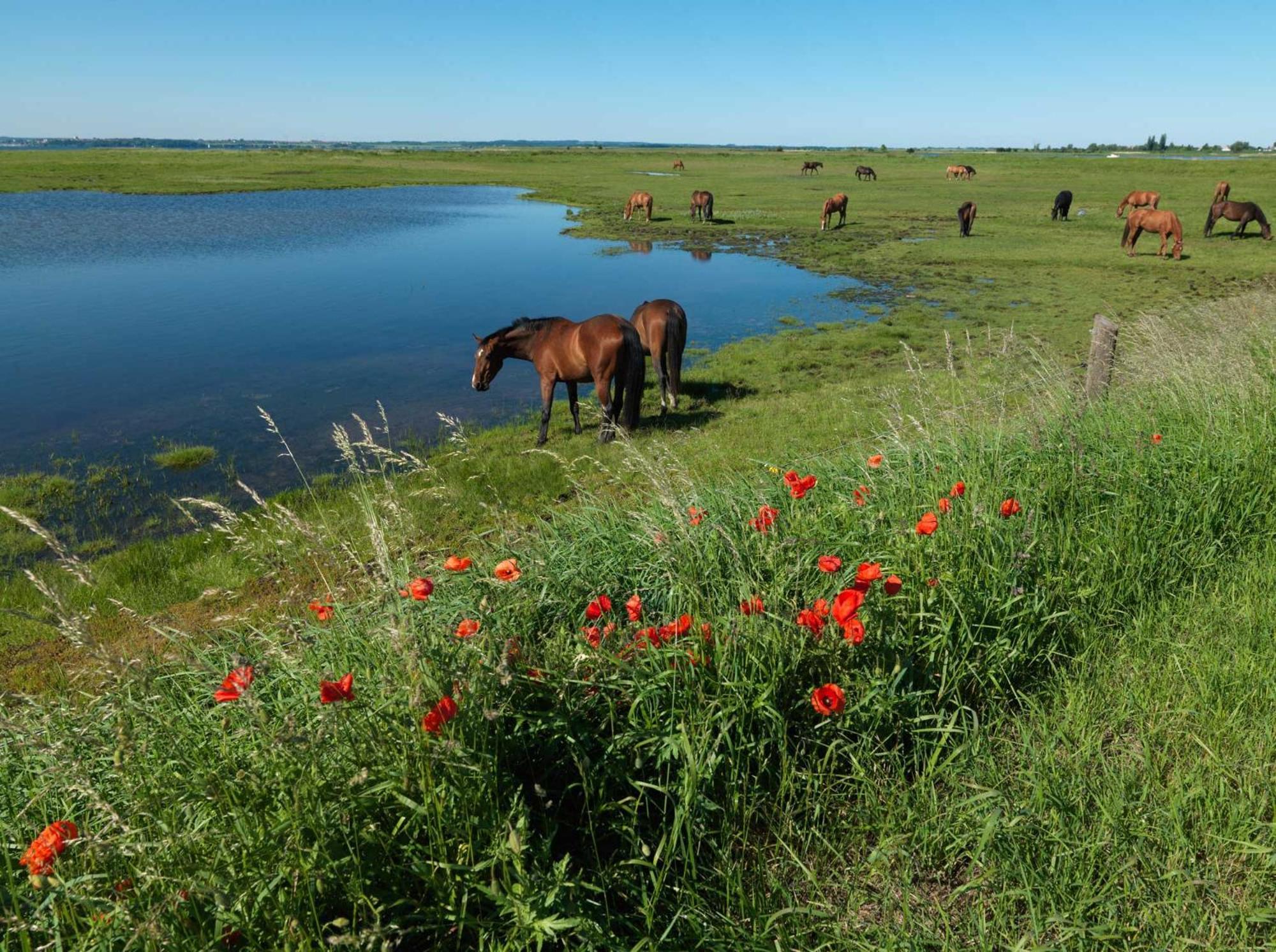 Haus Kulschewski Insel Poel Exteriör bild